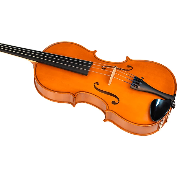 Bellafina Viola OTF Niccolo Model Oblong Case/Brazilwood Bow 16 in. 12 Bellafina Viola OTF Niccolo Model Oblong Case/Brazilwood Bow 16 in.