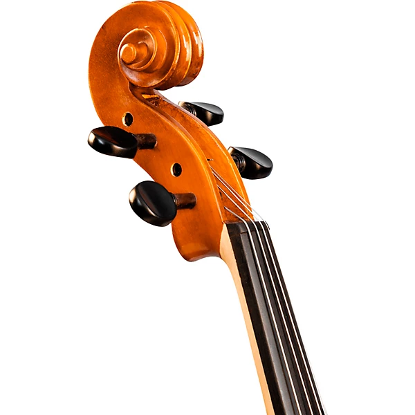 Bellafina Viola OTF Niccolo Model Oblong Case/Brazilwood Bow 16 in. 6 Bellafina Viola OTF Niccolo Model Oblong Case/Brazilwood Bow 16 in.