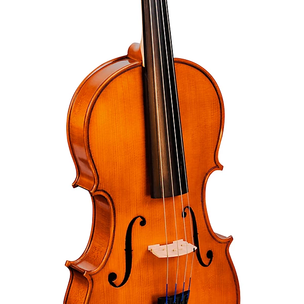 Bellafina Viola OTF Niccolo Model Oblong Case/Brazilwood Bow 16 in. 8 Bellafina Viola OTF Niccolo Model Oblong Case/Brazilwood Bow 16 in.