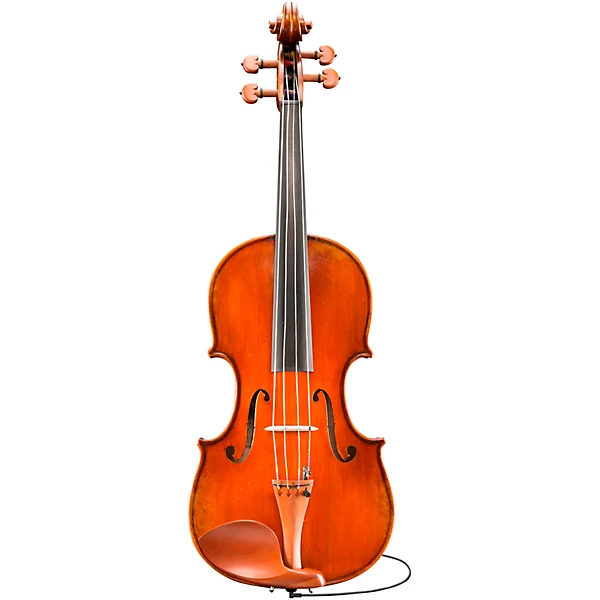 Eastman Andreas Eastman VA405 Series+ Viola Outfit with Case and Bow 15.5 in.