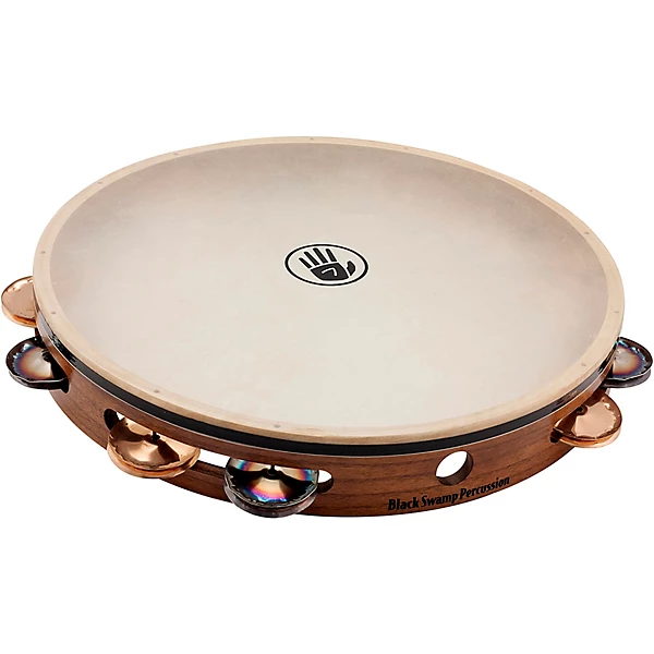Black Swamp Percussion Black Swamp 12 single row tambourine 12 in. Chromium/Bronze