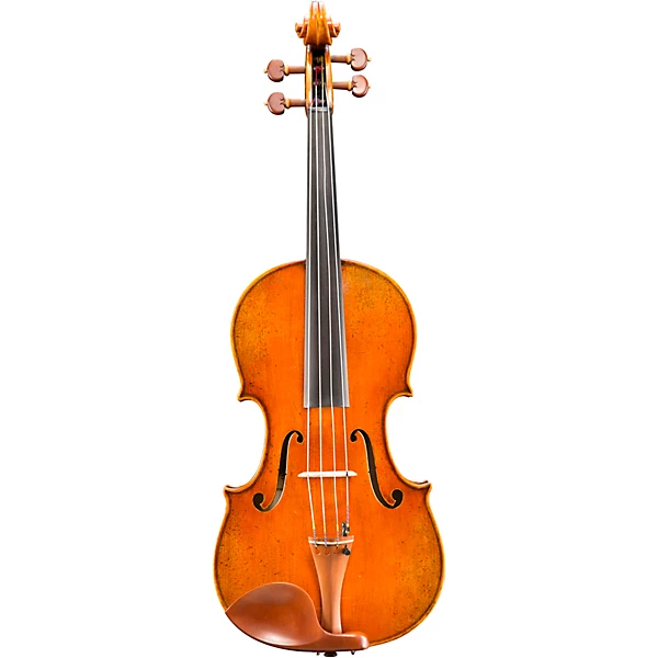 Eastman VA906 Master Series Professional Viola Outfit 15 in.