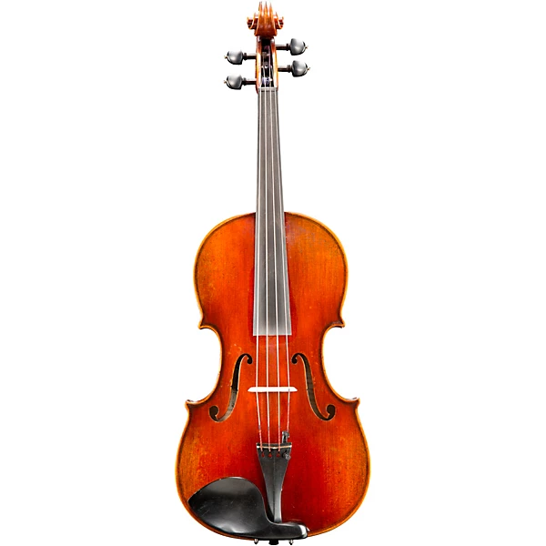Eastman VA605 Master Series Advanced Viola Outfit 15 in.