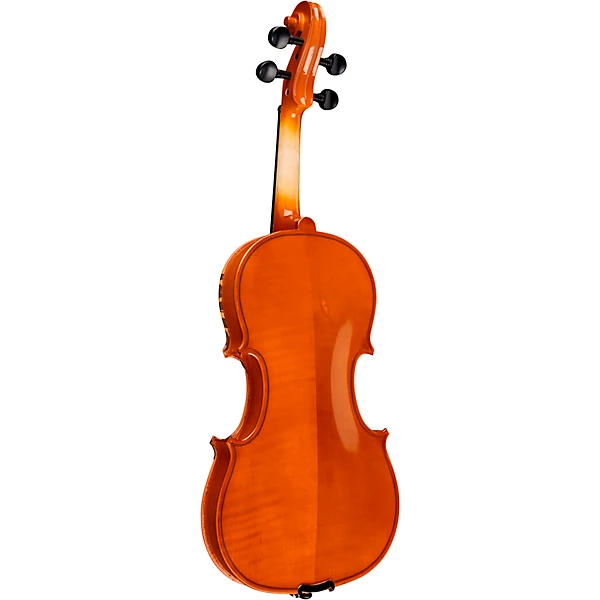 Rozanna's Violins Lion Spirit Violin Outfit 4/4 4 Rozanna's Violins Lion Spirit Violin Outfit 4/4