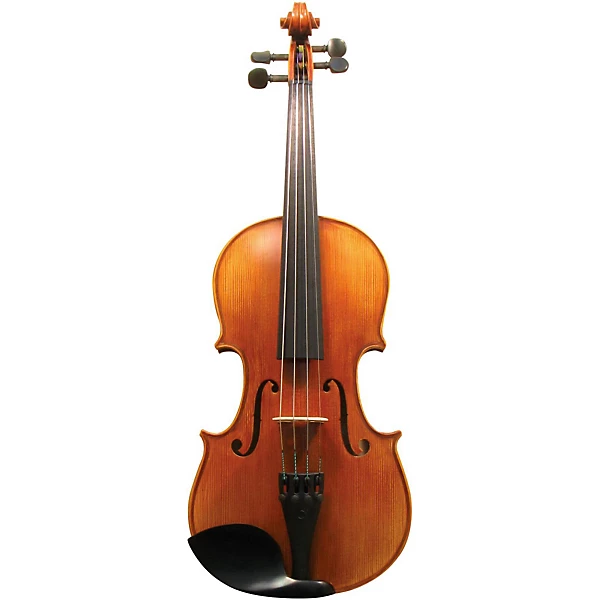Maple Leaf Strings MLS 130 Apprentice Collection Viola Outfit 16 in.